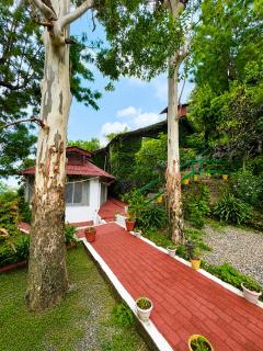 Kumaon Cottage, Nainital - AM Hotel Kollection - 3