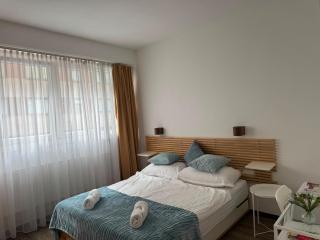 Vienna for 2-4 guest - 9