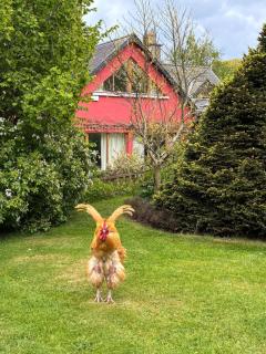 Cherrygarth Cottage - 9