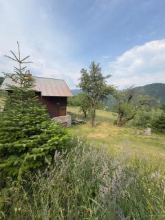 Villa Sali Jaha - Malaj, Rugovë - 6