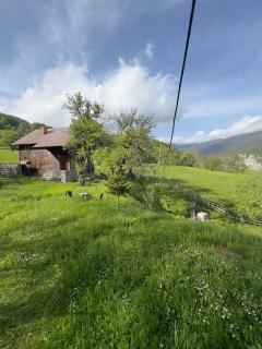 Villa Sali Jaha - Malaj, Rugovë - 5