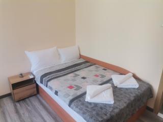 Large 3-Bedroom near Arena - 5