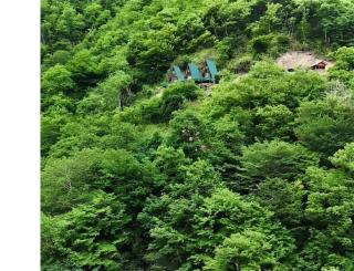 Lugela-Ghunji Cottages - ლუგელა-ღუნჯის კოტეჯები - 0