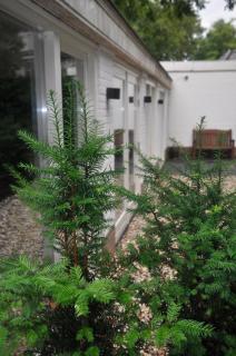 Stylish Holiday Home Near Nature, Train & Center - 1