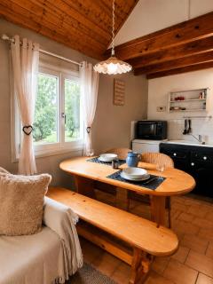 Duplex le Grimpeur - Les Apparts du Sancy - 0