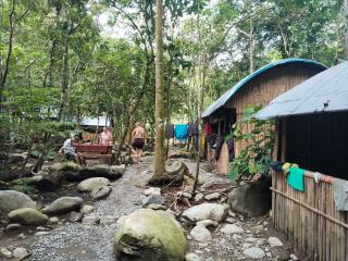 Jungle Trekking & Jungle Tour only stay here if you are and you must booking jungle trekking with us - 5