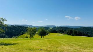 Stieler Häusle - Ferienhaus mit Garten und Weitblick - 2