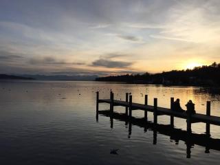 Central Starnberg and surrounded by nature - 6