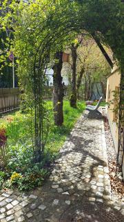 Central Starnberg and surrounded by nature - 5