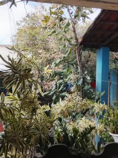 Hostel jabuticaba bh - 4
