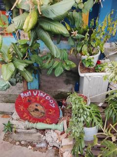 Hostel jabuticaba bh - 1