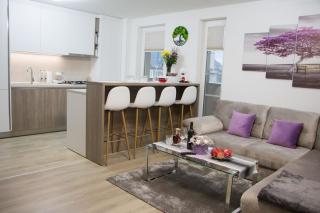 Luxury Apartment - Urban Plaza - Mountain View - 3