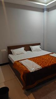 Hotel Trilok - 5
