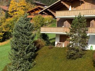 Apartment Malgré-tout Appartement-Fewo- Dusche oder Bad- WC- 1 Schlafraum 2-Bettwohnung by Interhome - 7