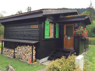 Apartment Abnaki- Chalet Appartement-Fewo- Dusche oder Bad- WC 2-Bettwohnung by Interhome - 9