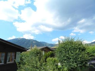 Apartment Abnaki- Chalet Appartement-Fewo- Dusche oder Bad- WC 2-Bettwohnung by Interhome - 3