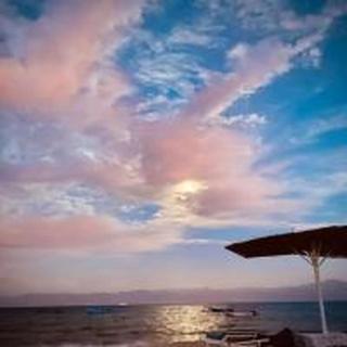 elwaharesort - 0