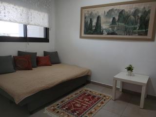 Large, spacious and luxurious apartment in the HaMishkapayim neighborhood of Beit Shemesh - 8