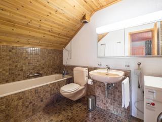 Apartment Val Signina 8-17 by Interhome - 4