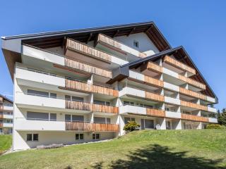 Apartment Val Signina 2-9 by Interhome - 4