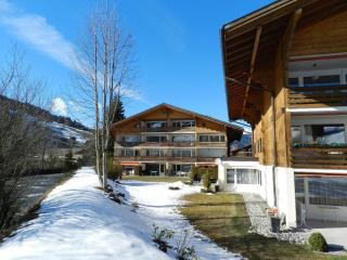 Apartment La Sarine 13 Studio- Dusche oder Bad- WC 2-Bettwohnung by Interhome - 6