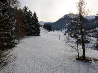 Apartment Les Erables- Chalet Appartement-Fewo- Dusche oder Bad- WC 7-Bettwohnung by Interhome - 3