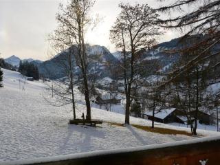 Apartment Les Erables- Chalet Appartement-Fewo- Dusche oder Bad- WC 7-Bettwohnung by Interhome - 4