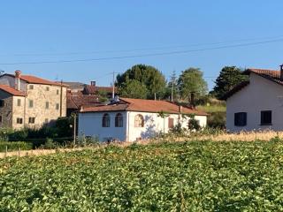 Casa Rita Garfagnana - 0