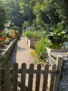 Ty Derw B & B - 8