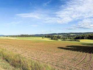 Apartment Oase der Ruhe - Haus Jupiter by Interhome - 4