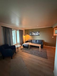 Basement apartment - 7