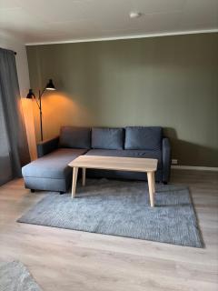 Basement apartment - 3