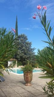Le Mazet provençal - 0