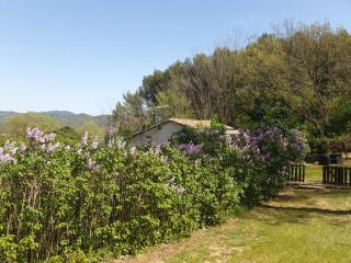 Le Mazet provençal - 7
