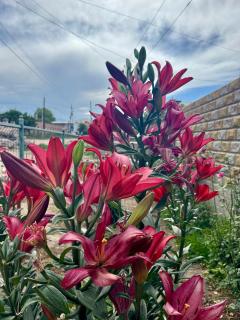 Ilgiz Guest House - 9