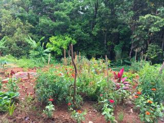 Creole Cottage - 9