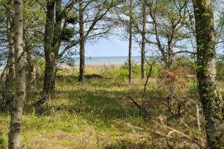 OH598-Hadsund-Odde-Naturpark-55 - 9