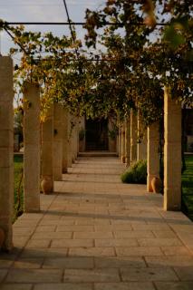 Masseria Palaci by Li Palaci - 9