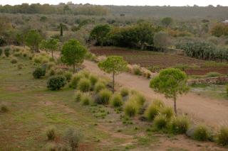 Masseria Palaci by Li Palaci - 4