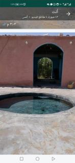 Siwa Sand Spa Resort - 6