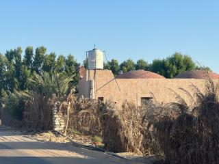 Siwa Sand Spa Resort - 3