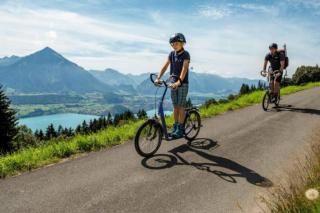 Lake Thun Alps Scenic Views and Concierge by SwissHut - 9