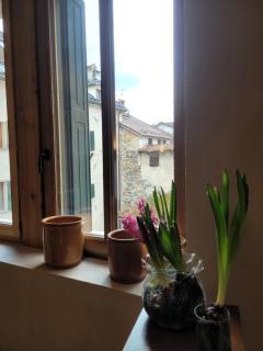 DIMORA STORICA ZACCHI D'ARRIGO - Belluno - 6