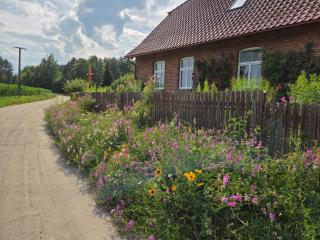Wczasy na Kaszubach - 2