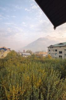 Shesh Bagh Kashmiri Villa near Mughal Gardens and Dal Lake - 6