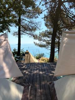 Ecoclub - Varna City - 4