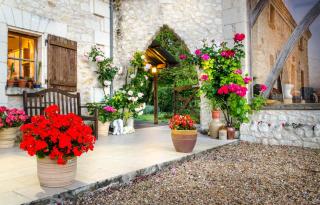 Gites Arches de Muschamp - Cussay - 5