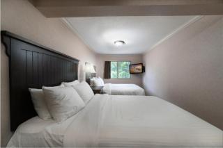 Prestige Inn Nelson - 7