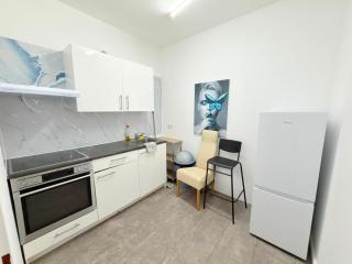 Family & Group Apartment I 10 PAX MZ49 - 3