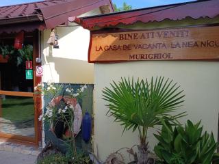 Casă de vacanță la Nea Nicu Murighiol - Tulcea - 1